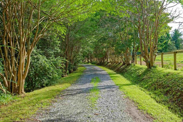 700 N Trade Avenue, Landrum, SC 29356