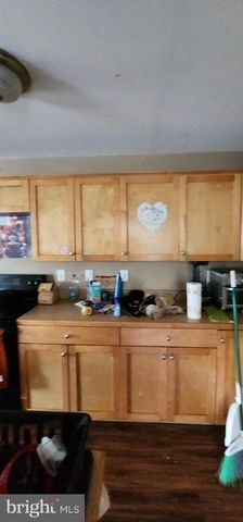 19 VIRGINIA AVE, Brunswick, MD 21716