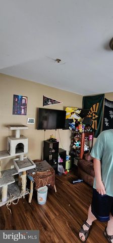 19 VIRGINIA AVE, Brunswick, MD 21716