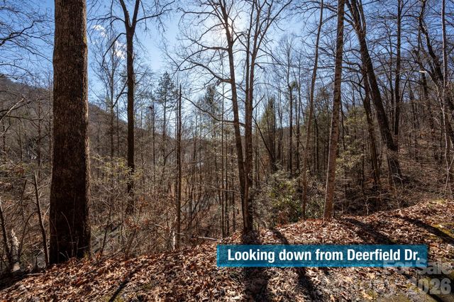 171 Deerfield Drive 15, Lake Lure, NC 28746