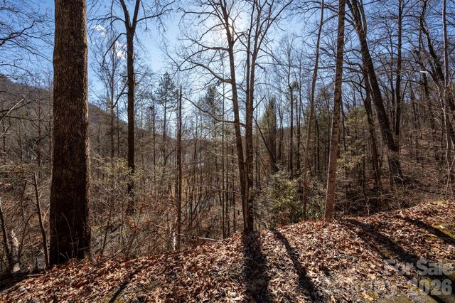 171 Deerfield Drive 15, Lake Lure, NC 28746