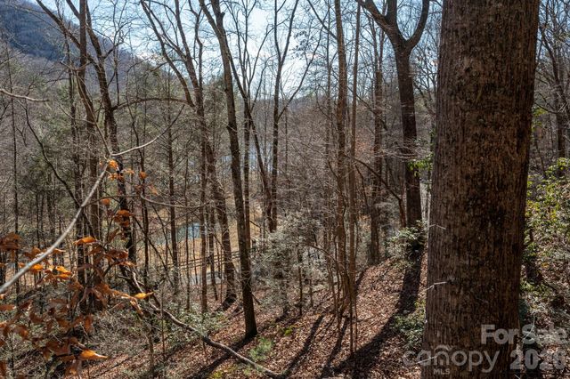 171 Deerfield Drive 15, Lake Lure, NC 28746