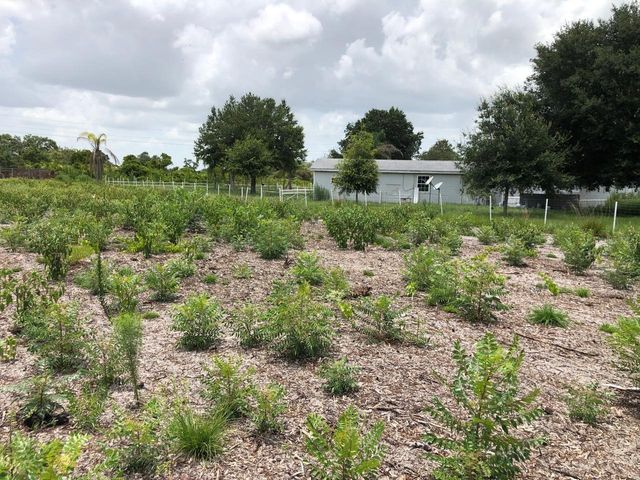 DUCK KEY STREET, Lake Wales, FL 33859