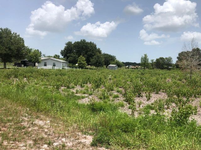 DUCK KEY STREET, Lake Wales, FL 33859