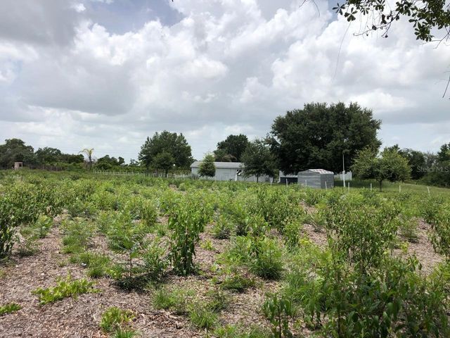 DUCK KEY STREET, Lake Wales, FL 33859