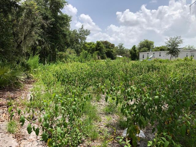 DUCK KEY STREET, Lake Wales, FL 33859