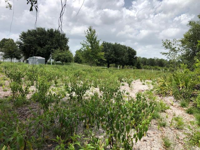 DUCK KEY STREET, Lake Wales, FL 33859