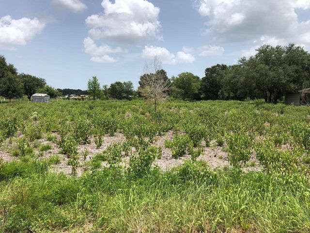 DUCK KEY STREET, Lake Wales, FL 33859