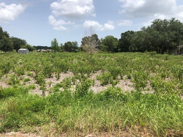 DUCK KEY STREET, Lake Wales, FL 33859