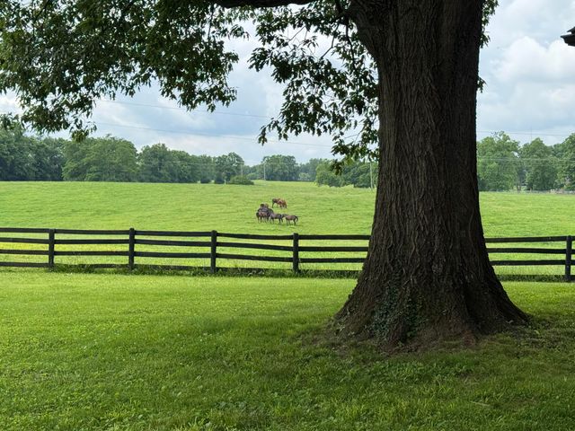 4810 Briar Hill Road, Lexington, KY 40516