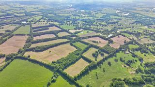 4810 Briar Hill Road, Lexington, KY 40516