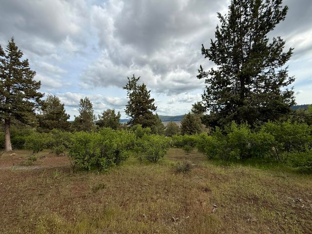 Turnstone Drive Lot 1064, Klamath Falls, OR 97601