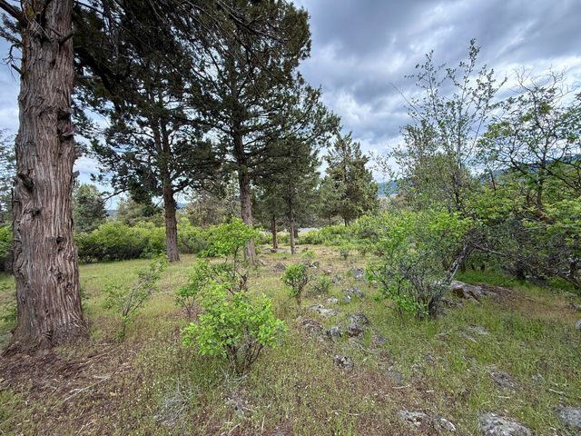 Turnstone Drive Lot 1064, Klamath Falls, OR 97601