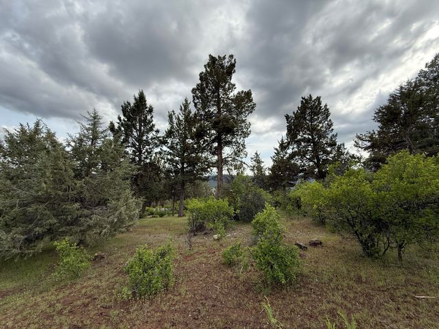 Turnstone Drive Lot 1064, Klamath Falls, OR 97601