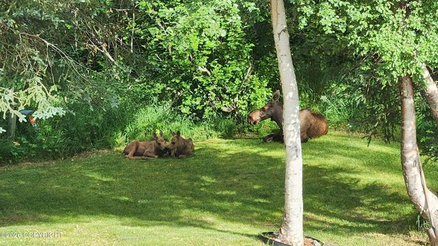 6601 Gunnison Drive, Anchorage, AK 99516