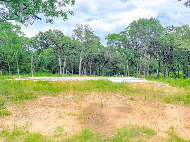 Lot 140 Shenandoah Drive, Streetman, TX 75859