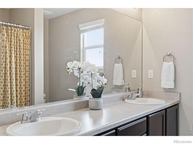 3481 Yule Trail Drive, Fort Collins, CO 80524