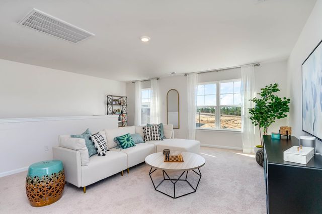 383 Hadley Springs Ave, Longs, SC 29568