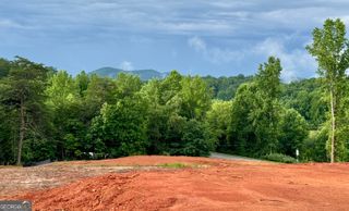 25 Caudell Drive, Cleveland, GA 30528