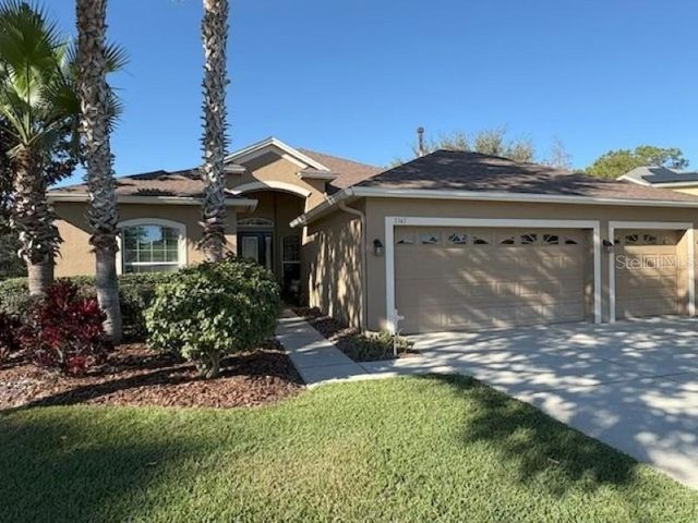 3347 DIAMOND FALLS CIRCLE, Land O Lakes, FL 34638