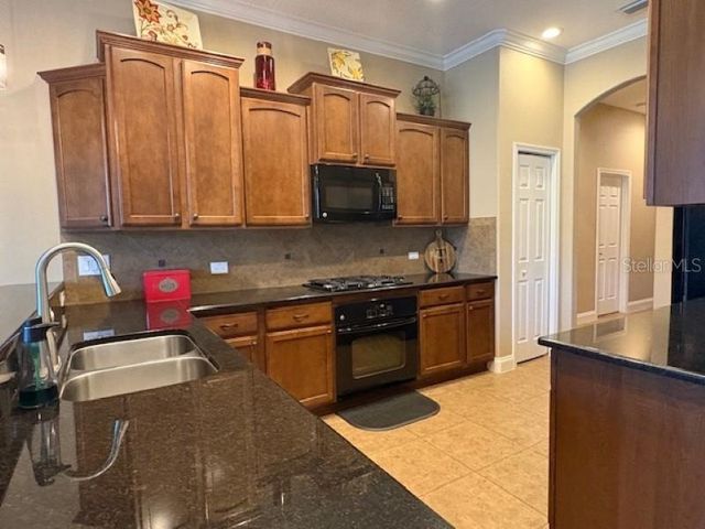 3347 DIAMOND FALLS CIRCLE, Land O Lakes, FL 34638