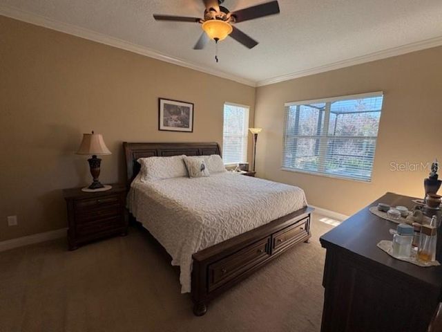 3347 DIAMOND FALLS CIRCLE, Land O Lakes, FL 34638