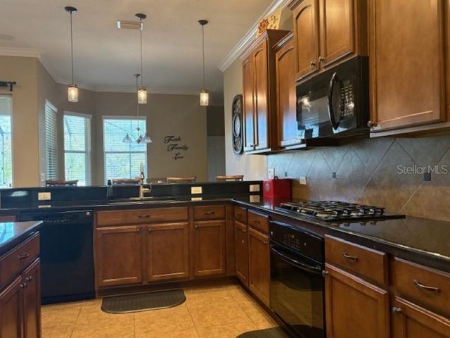 3347 DIAMOND FALLS CIRCLE, Land O Lakes, FL 34638