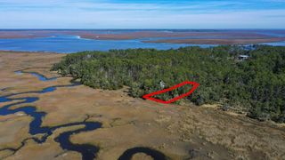 134 Blackbeard Court NE, Townsend, GA 31331