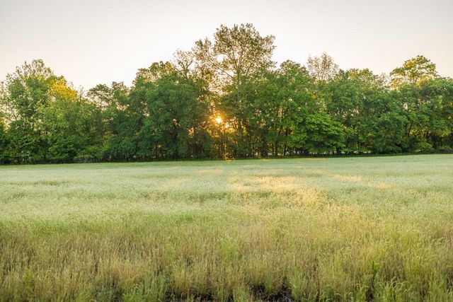 40801 E Route B Road, Creighton, MO 64739