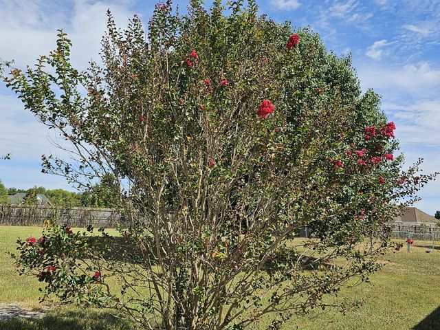 1994 Overland Dr, Chapel Hill, TN 37034