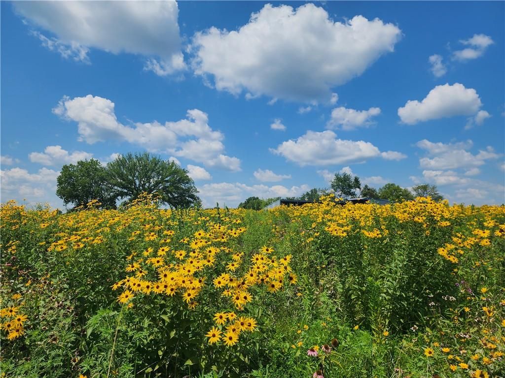 28200 S Grand River Road, Freeman, MO 64746