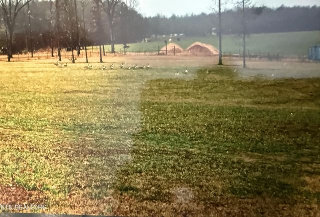 1275 Twin Bridge Rd, Deer Lodge, TN 37726