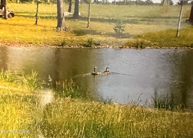 1275 Twin Bridge Rd, Deer Lodge, TN 37726