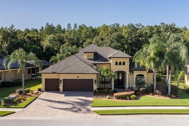 15312 AZRA DRIVE, Odessa, FL 33556