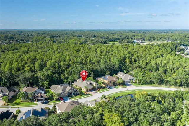 15312 AZRA DRIVE, Odessa, FL 33556