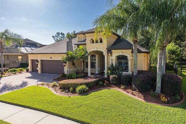 15312 AZRA DRIVE, Odessa, FL 33556