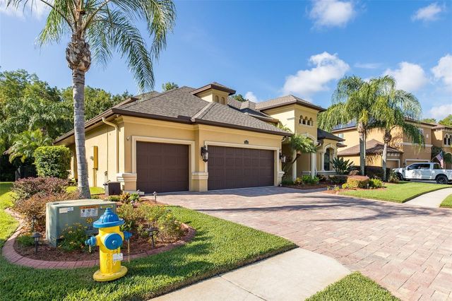 15312 AZRA DRIVE, Odessa, FL 33556