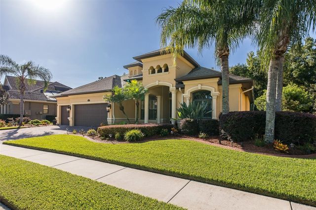 15312 AZRA DRIVE, Odessa, FL 33556