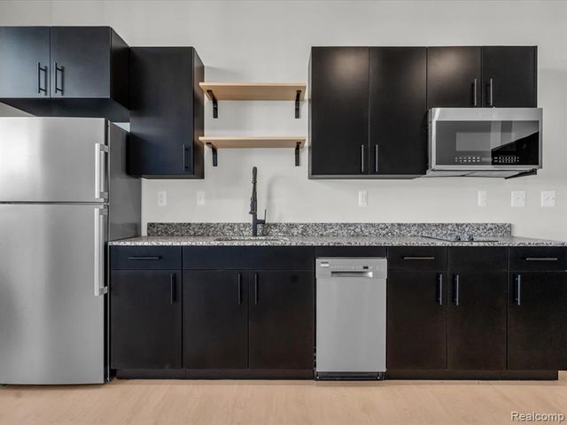 411 Piquette Avenue P, Detroit, MI 48202