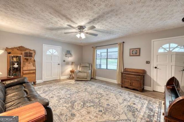 399 Pack Creek Road, Blue Ridge, GA 30513