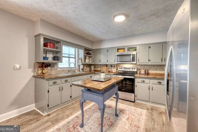 399 Pack Creek Road, Blue Ridge, GA 30513