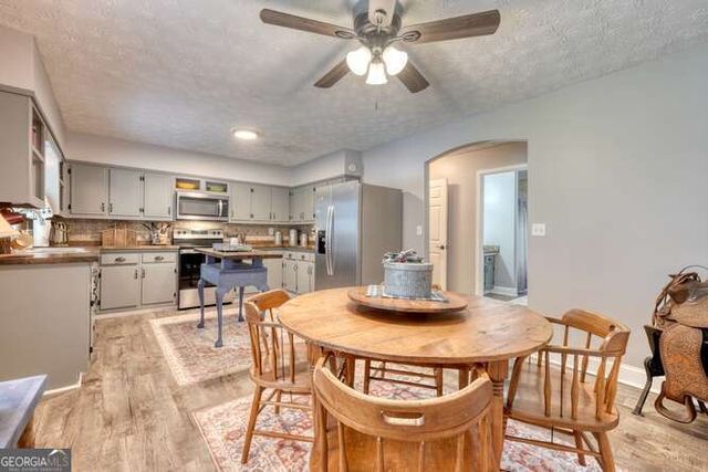 399 Pack Creek Road, Blue Ridge, GA 30513