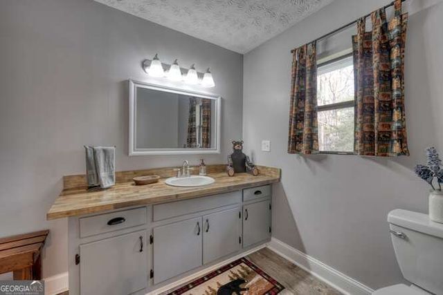 399 Pack Creek Road, Blue Ridge, GA 30513