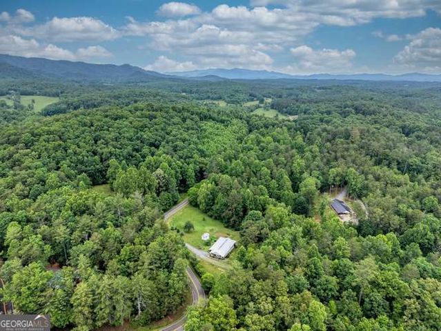 399 Pack Creek Road, Blue Ridge, GA 30513
