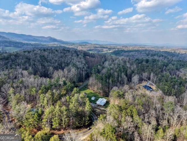 399 Pack Creek Road, Blue Ridge, GA 30513