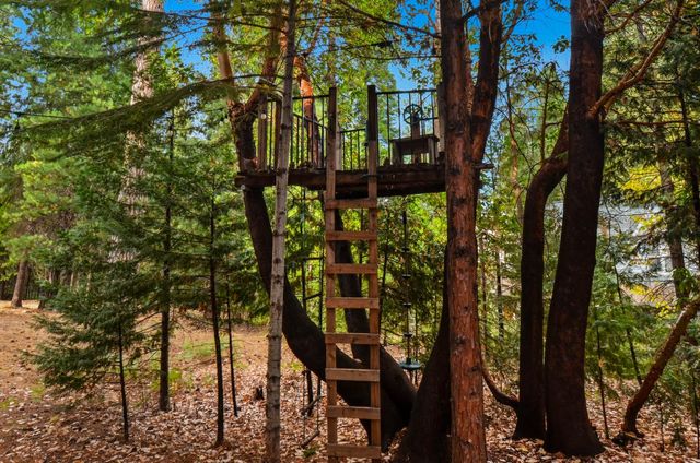 16890 Fairview Ct, Pioneer, CA 95666