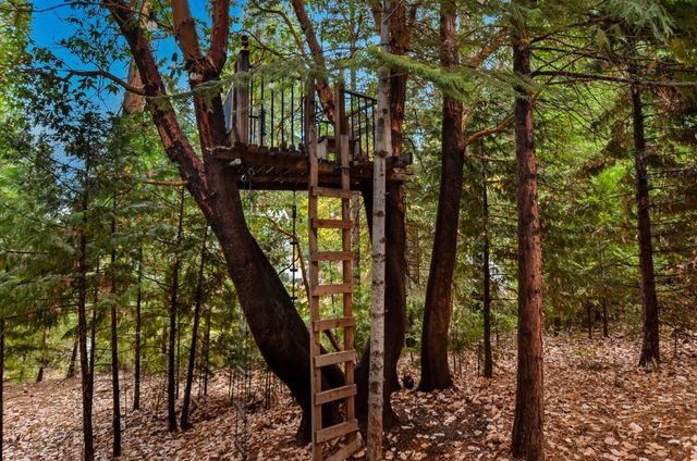 16890 Fairview Ct, Pioneer, CA 95666