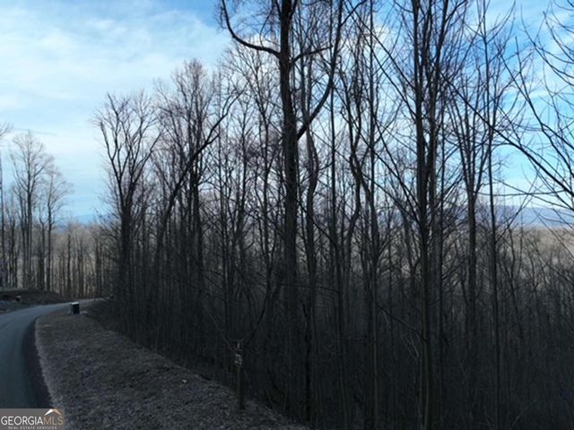 280 Andes Ridge, Ellijay, GA 30536