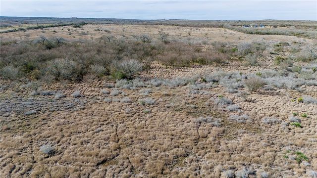 124 County Road 164, George West, TX 78022