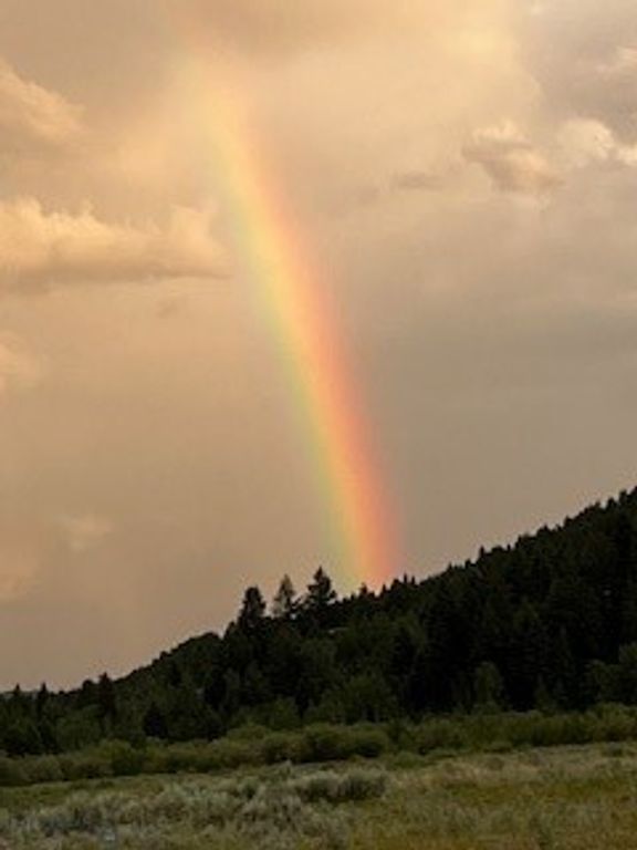 173 S Sun West Road, Cameron, MT 59720 photo 51